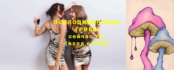 МДПВ Алзамай