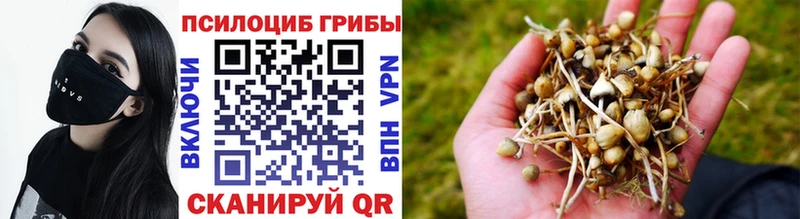Псилоцибиновые грибы прущие грибы  Туринск 
